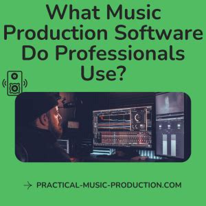 What Music Production Software Do Professionals Use: A Detailed Exploration of Popular Music Production Tools and Their Application in the Industry